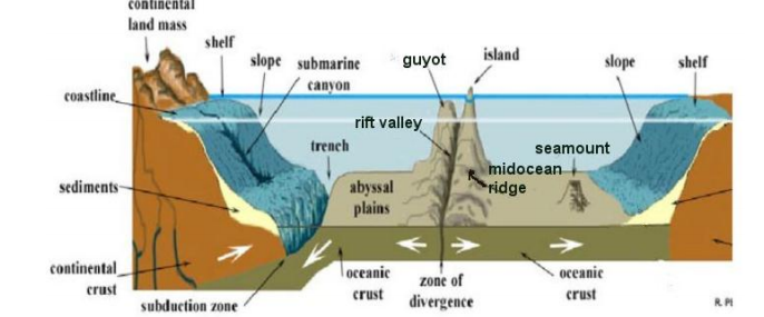 Bottom Topography of Ocean