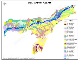 assam soil types soils