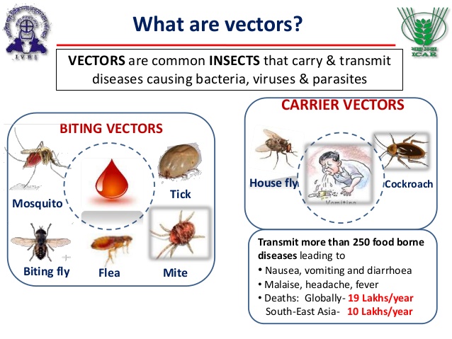 Vector-borne diseases & IVM